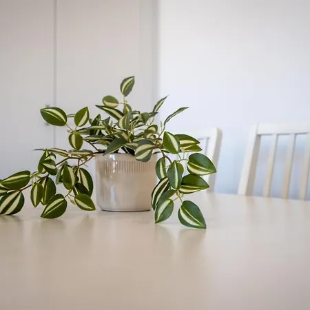 Rooftop Pool, Balcony And Ac #1965