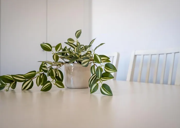 Rooftop Pool, Balcony And Ac #1965